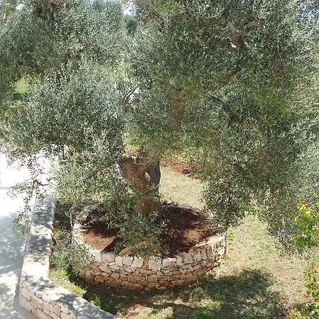 فندق مبيت وإفطار Foresti سيغلي ميسابيكا