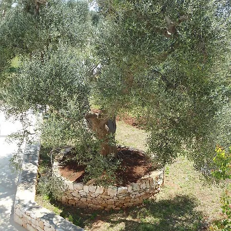 Bed & Breakfast Foresti Ceglie Messapica