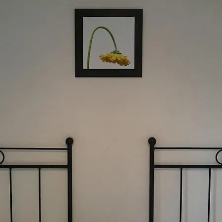 Foresti Bed & Breakfast
